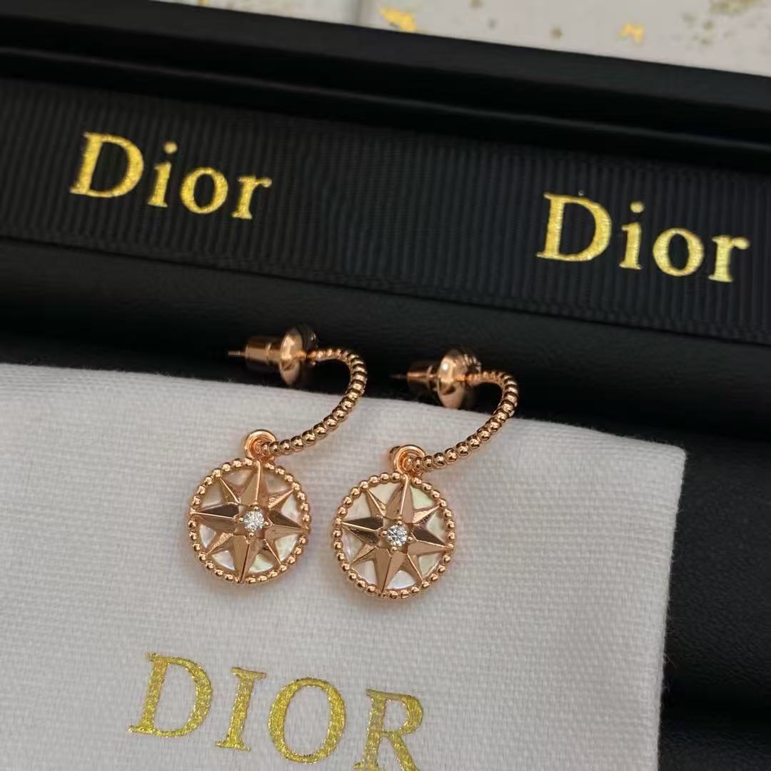 Luxury Compass earring.High quality pure silver material, will not fade, Free Shipping