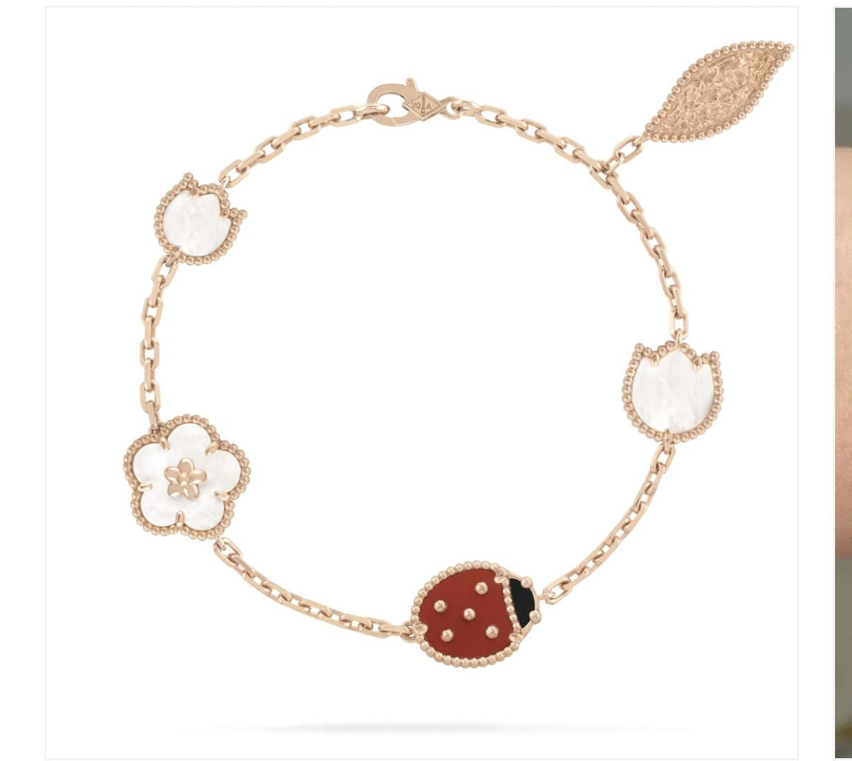 [✨CC💎】Rose Gold Set Link